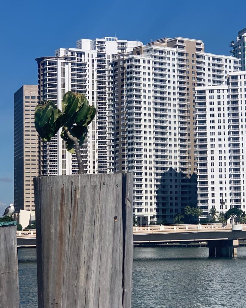 yacht in exclusive boat slip at Vice City Marina Brickell Miami