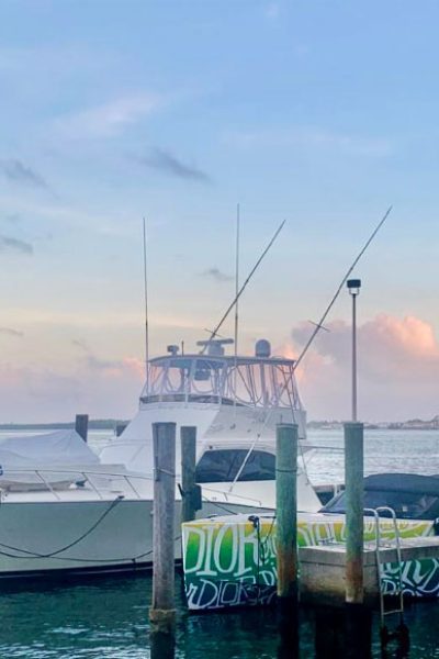 book a boat slip on Dockwa at Vice City Marina